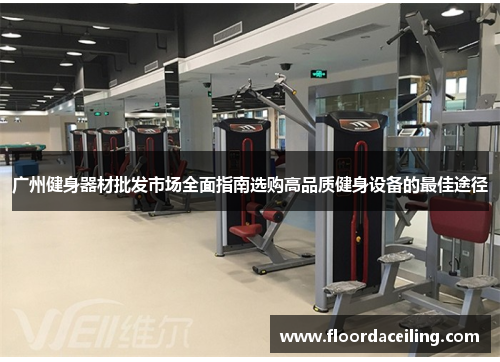 广州健身器材批发市场全面指南选购高品质健身设备的最佳途径
