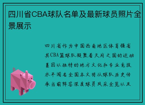 四川省CBA球队名单及最新球员照片全景展示