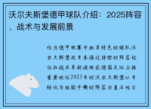 沃尔夫斯堡德甲球队介绍：2025阵容、战术与发展前景