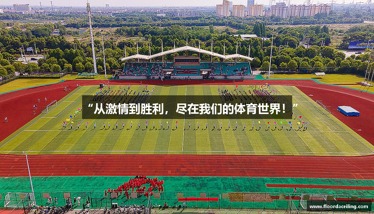 “从激情到胜利，尽在我们的体育世界！”